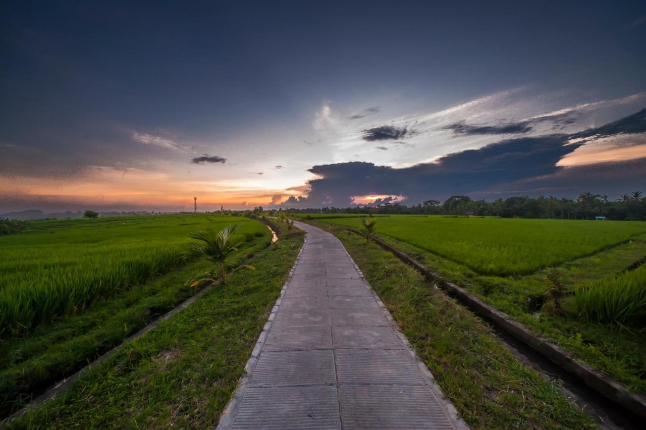 The Lebak Canggu Εξωτερικό φωτογραφία